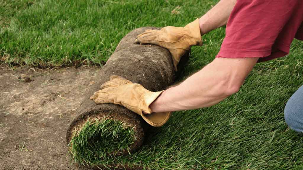 Sod Installation - Hunterdon Landscaping